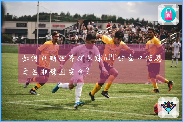 如何判断世界杯买球APP的盘口信息是否准确且安全？