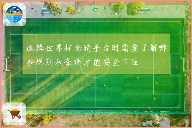 选择世界杯竞猜平台时需要了解哪些规则和条件才能安全下注