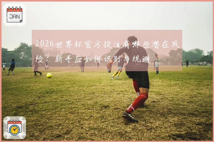 2026世界杯官方投注有哪些潜在风险？新手应如何识别与规避