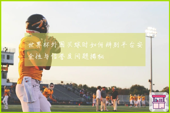 世界杯外围买球时如何辨别平台安全性与信誉度问题揭秘