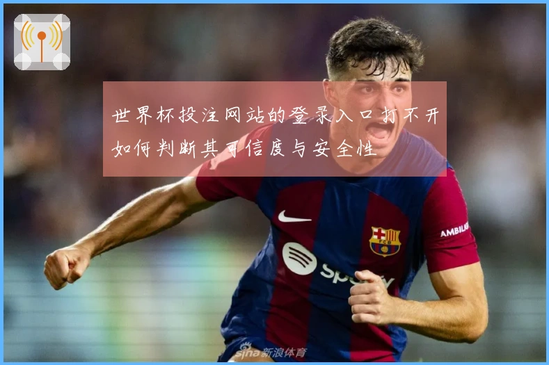 世界杯投注网站的登录入口打不开如何判断其可信度与安全性