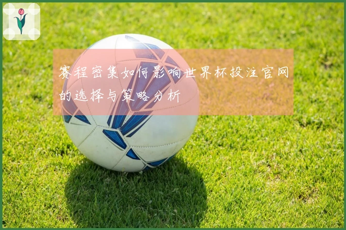 赛程密集如何影响世界杯投注官网的选择与策略分析