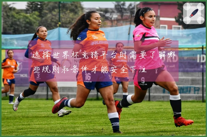 选择世界杯竞猜平台时需要了解哪些规则和条件才能安全下注