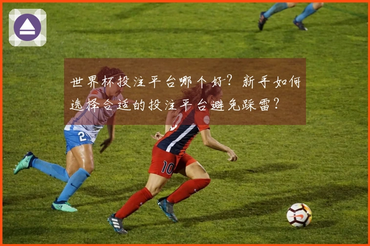 世界杯投注平台哪个好？新手如何选择合适的投注平台避免踩雷？