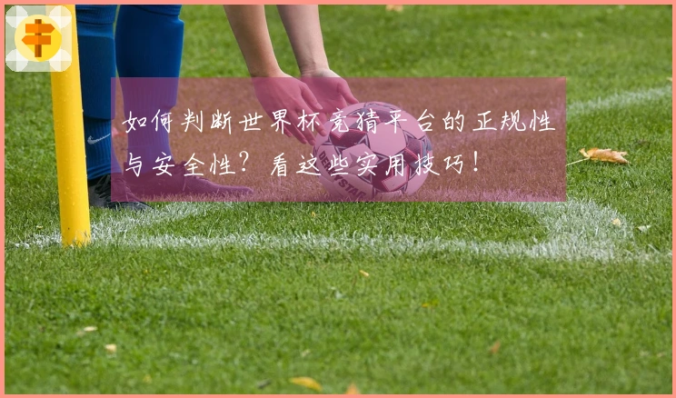 如何判断世界杯竞猜平台的正规性与安全性?看这些实用技巧!