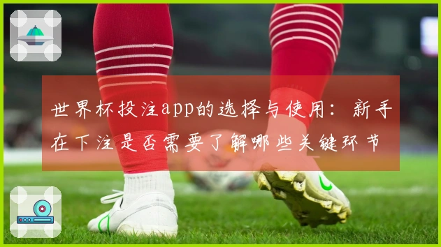 世界杯投注app的选择与使用：新手在下注是否需要了解哪些关键环节？
