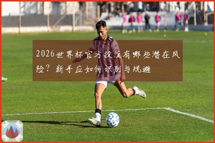 2026世界杯官方投注有哪些潜在风险？新手应如何识别与规避