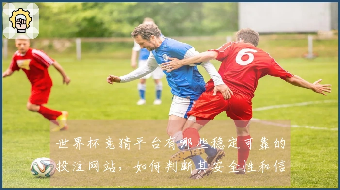世界杯竞猜平台有哪些稳定可靠的投注网站，如何判断其安全性和信誉？
