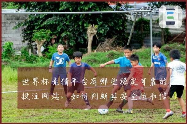 世界杯竞猜平台有哪些稳定可靠的投注网站，如何判断其安全性和信誉？