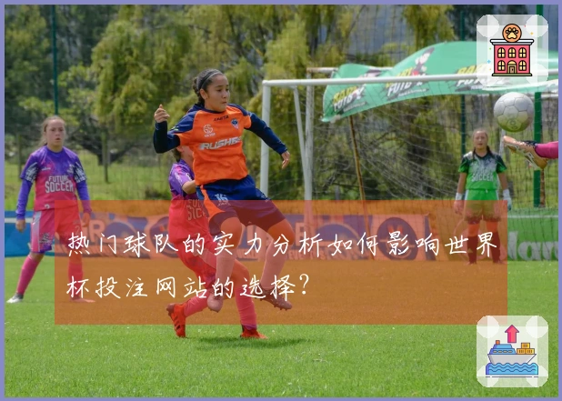 热门球队的实力分析如何影响世界杯投注网站的选择？