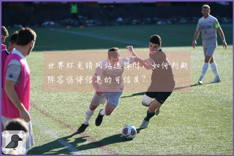 世界杯竞猜网站选择时，如何判断阵容伤停信息的可信度？