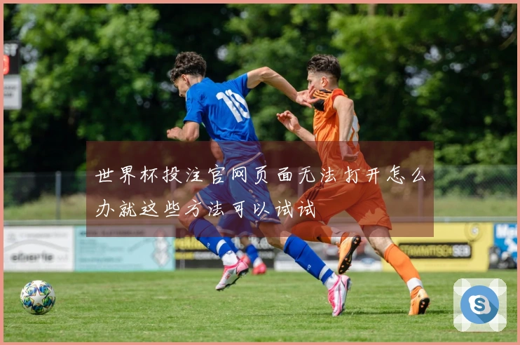 世界杯投注官网页面无法打开怎么办就这些方法可以试试