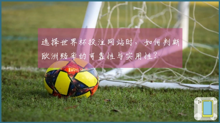 选择世界杯投注网站时，如何判断欧洲赔率的可靠性与实用性？
