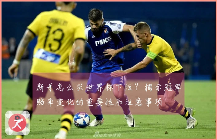 新手怎么买世界杯下注？揭示冠军赔率变化的重要性和注意事项