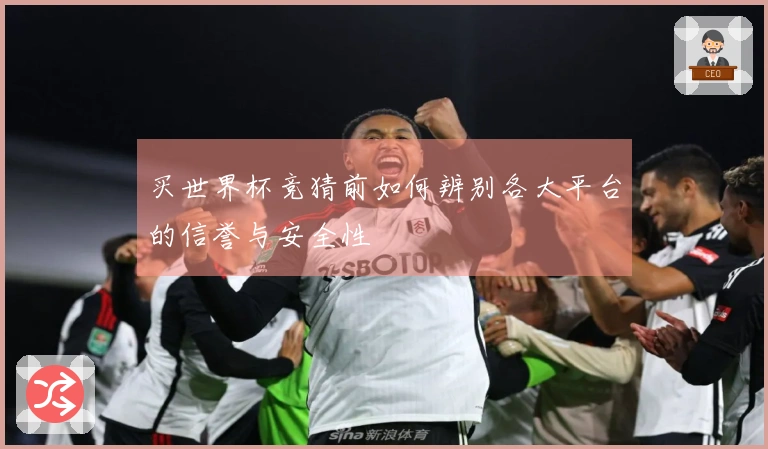 买世界杯竞猜前如何辨别各大平台的信誉与安全性