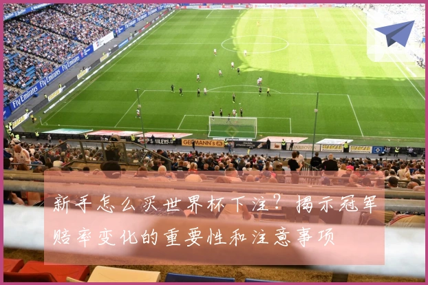 新手怎么买世界杯下注？揭示冠军赔率变化的重要性和注意事项