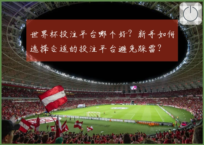 世界杯投注平台哪个好？新手如何选择合适的投注平台避免踩雷？